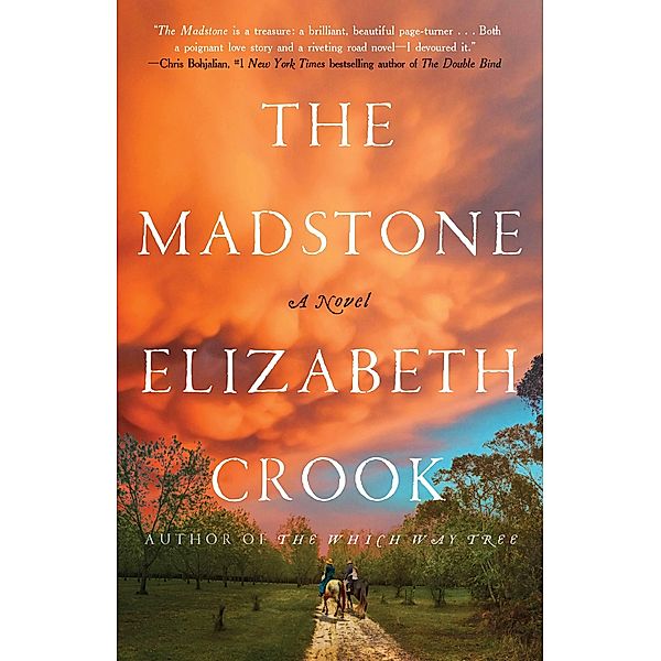 The Madstone, Elizabeth Crook