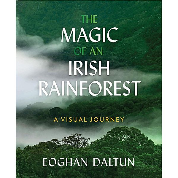 The Magic of an Irish Rainforest, Eoghan Daltun