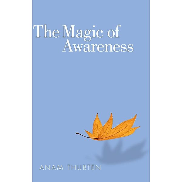 The Magic of Awareness, Anam Thubten