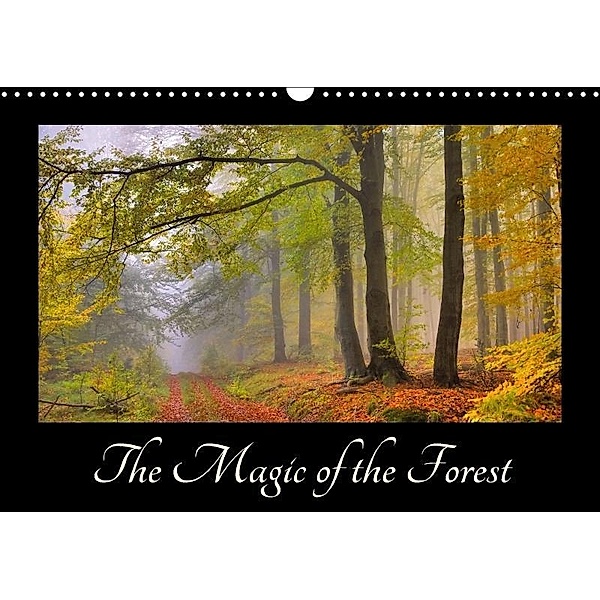 The Magic of the Forest (Wall Calendar 2017 DIN A3 Landscape), LianeM