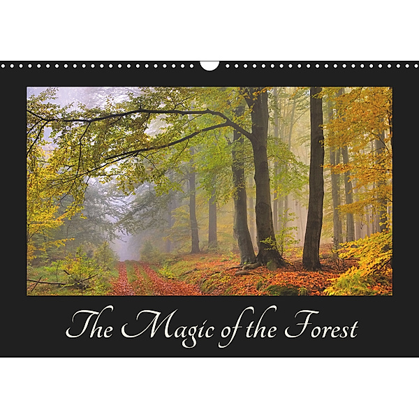 The Magic of the Forest (Wall Calendar 2019 DIN A3 Landscape), LianeM