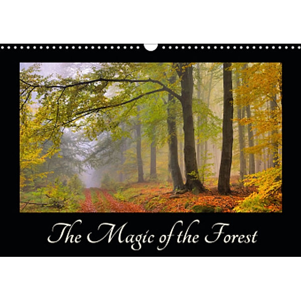 The Magic of the Forest (Wall Calendar 2021 DIN A3 Landscape)