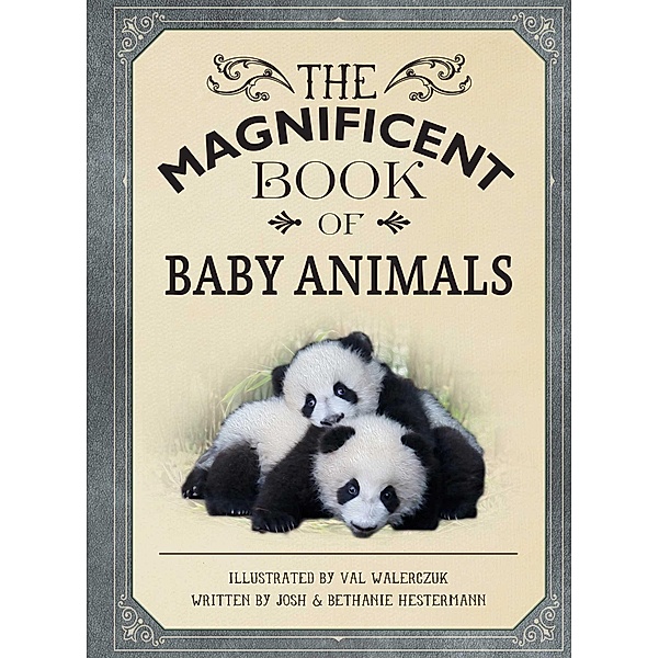 The Magnificent Book of Baby Animals, Barbara Taylor