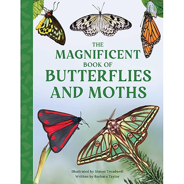 The Magnificent Book of Butterflies and Moths, Barbara Taylor