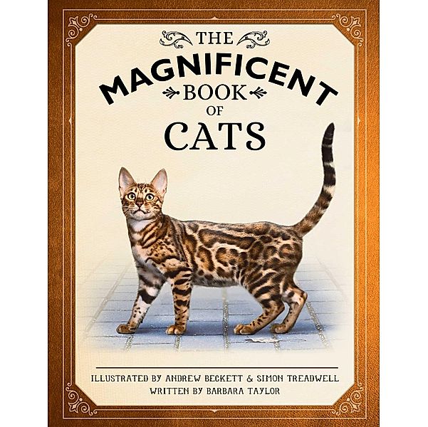The Magnificent Book of Cats, Barbara Taylor