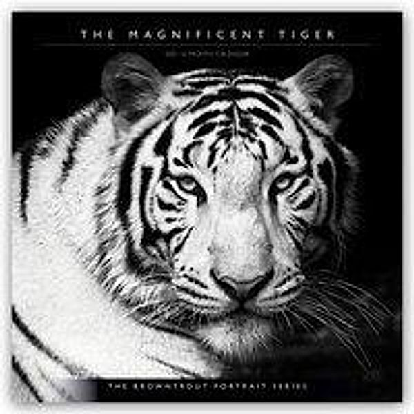 The Magnificent Tiger -Der prächtige Tiger 2021 - 16-Monatskalender, BrownTrout Publisher