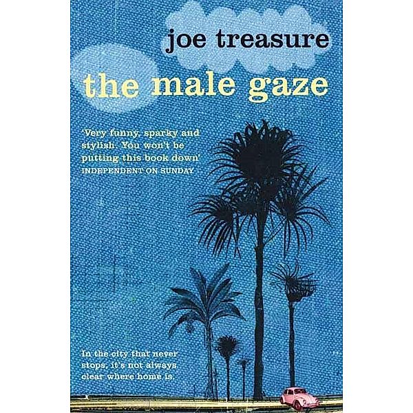 The Male Gaze, Joe Treasure
