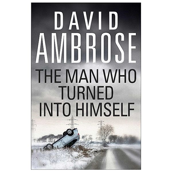 The Man Who Turned Into Himself, David Ambrose