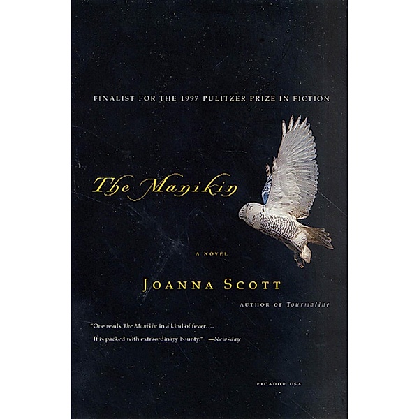 The Manikin, Joanna Scott