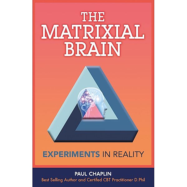 The Matrixial Brain, Paul Chaplin