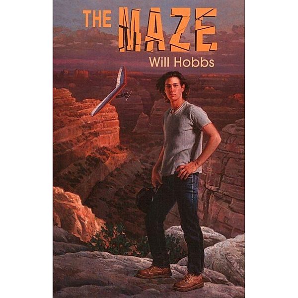 The Maze, Will Hobbs