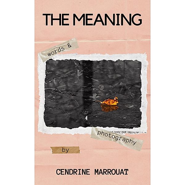 The Meaning, Cendrine Marrouat