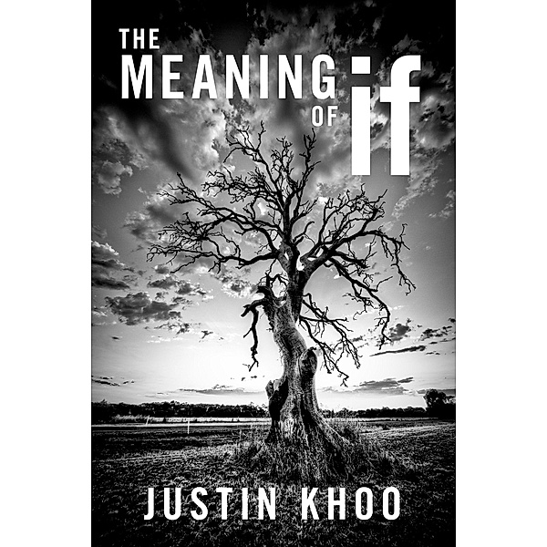 The Meaning of If, Justin Khoo