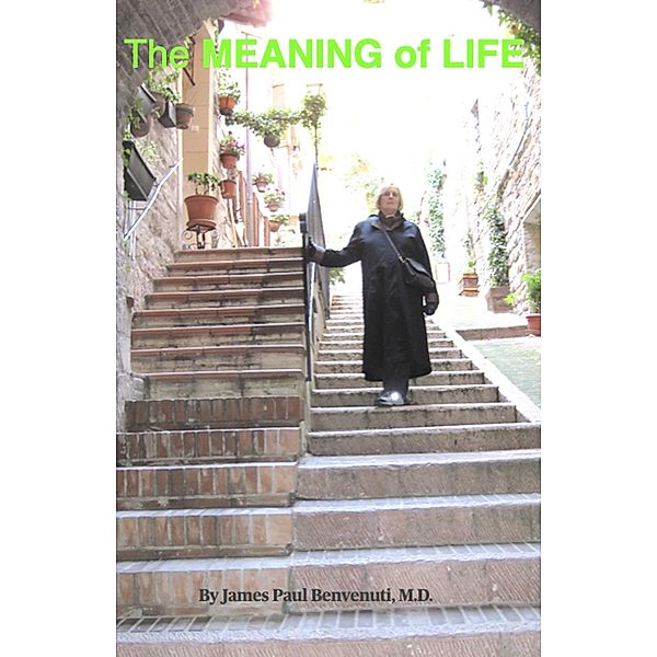 The MEANING of LIFE, James Benvenuti