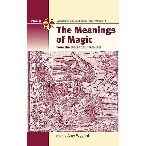 The Meanings of Magic / Polygons: Cultural Diversities and Intersections Bd.11