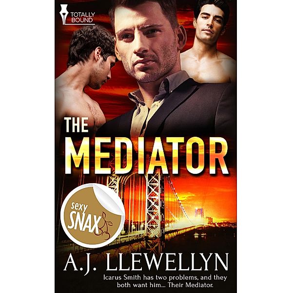 The Mediator / Totally Bound Publishing, A. J. Llewellyn