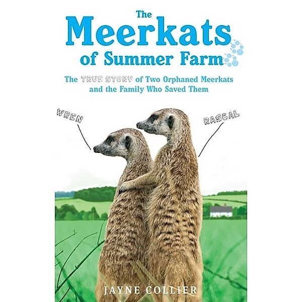 The Meerkats Of Summer Farm, Jayne Collier