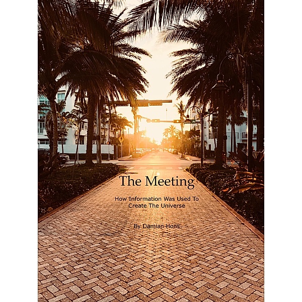 The Meeting, How Information Was Used To Create The Universe, Damian Hons