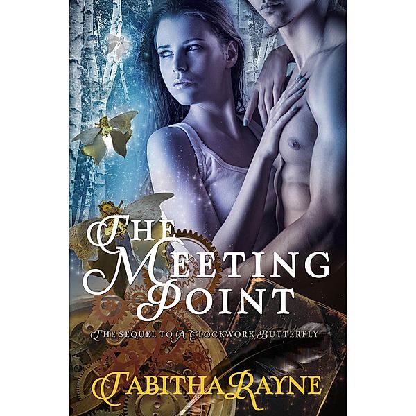 The Meeting Point (The Clockwork Butterfly Trilogy, #3) / The Clockwork Butterfly Trilogy, Tabitha Rayne