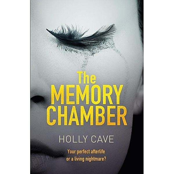 The Memory Chamber, Holly Cave