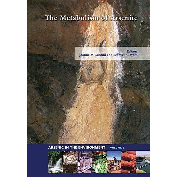 The Metabolism of Arsenite