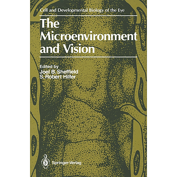The Microenvironment and Vision