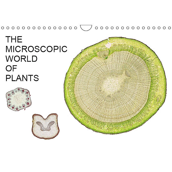 THE MICROSCOPIC WORLD OF PLANTS (Wall Calendar 2019 DIN A4 Landscape), Martin Schreiter