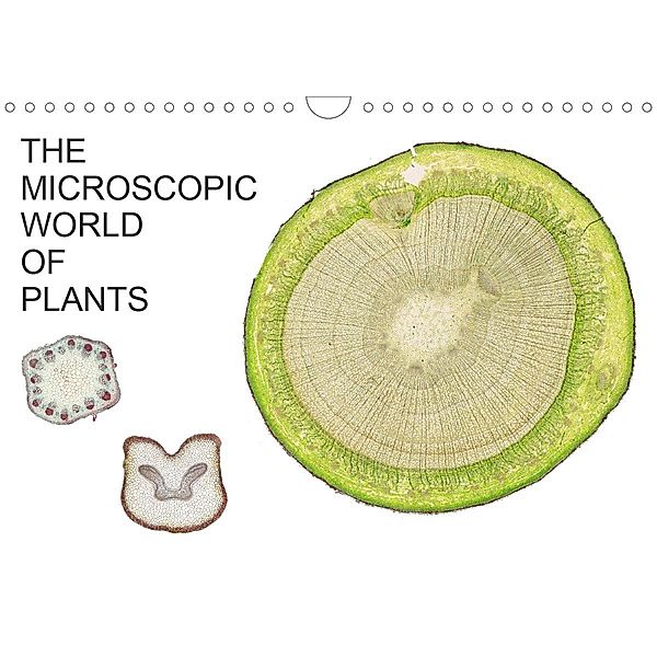 THE MICROSCOPIC WORLD OF PLANTS (Wall Calendar 2021 DIN A4 Landscape), Martin Schreiter