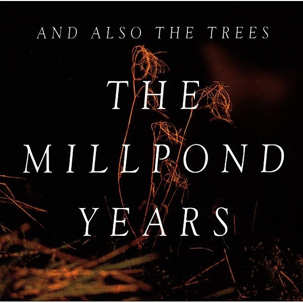 The Millpond Years, And Also The Trees