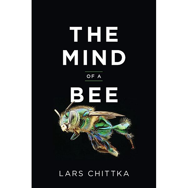 The Mind of a Bee, Lars Chittka