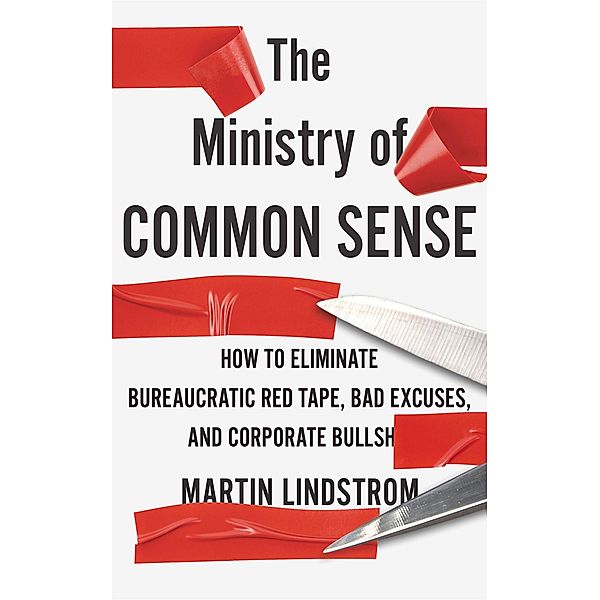 The Ministry of Common Sense, Martin Lindstrom Company