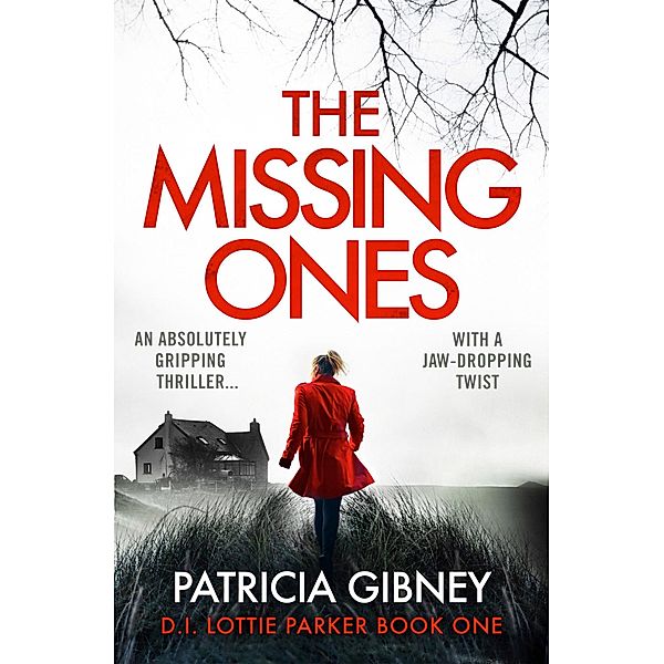 The Missing Ones / Detective Lottie Parker Bd.1, Patricia Gibney