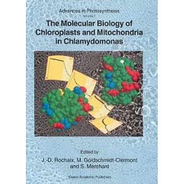 The Molecular Biology of Chloroplasts and Mitochondria in Chlamydomonas / Advances in Photosynthesis and Respiration Bd.7