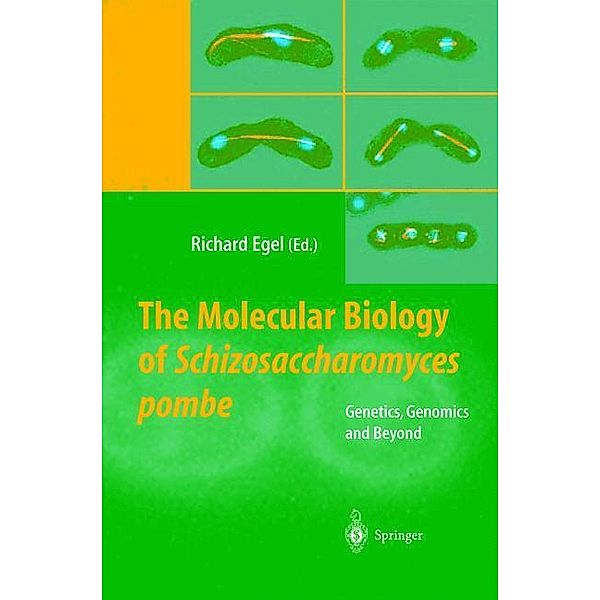 The Molecular Biology of Schizosaccharomyces pombe