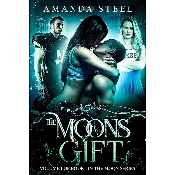 The Moons Gift: volume 1 of book 1 (Moon Series, #1) / Moon Series, Amanda Steel