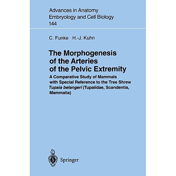 The Morphogenesis of the Arteries of the Pelvic Extremity / Advances in Anatomy, Embryology and Cell Biology Bd.144, Carolin Funke, Hans-Jörg Kuhn