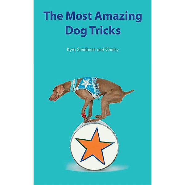 The Most Amazing Silly Dog Tricks / Dog Tricks and Training, Kyra Sundance, Chalcy