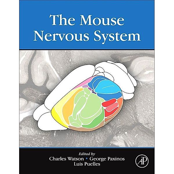 The Mouse Nervous System