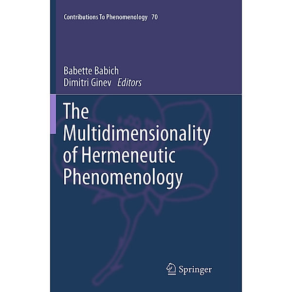 The Multidimensionality of Hermeneutic Phenomenology