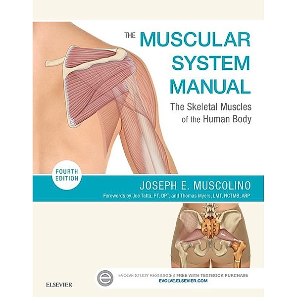 The Muscular System Manual - E-Book, Joseph E. Muscolino