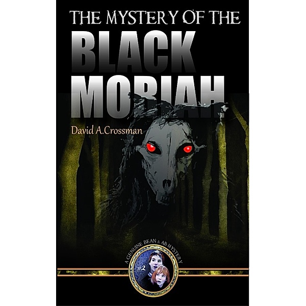 The Mystery of the Black Moriah: the second Bean and Ab mystery, David Crossman