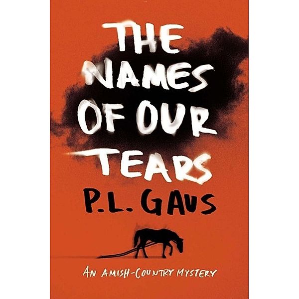 The Names of Our Tears / An Amish-Country Mystery Bd.8, P. L. Gaus
