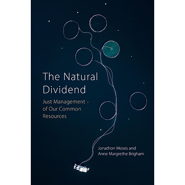 The Natural Dividend, Jonathon W. Moses, Anne Margrethe Brigham