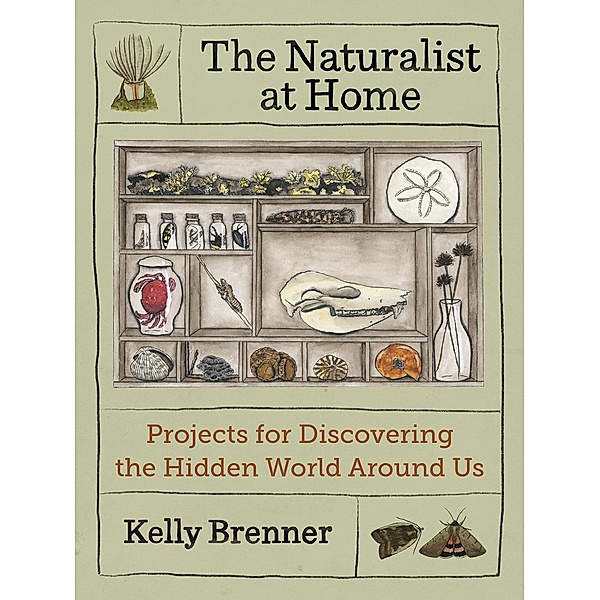 The Naturalist at Home, Kelly Brenner