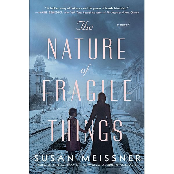 The Nature of Fragile Things, Susan Meissner