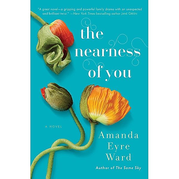 The Nearness of You, Amanda Eyre Ward