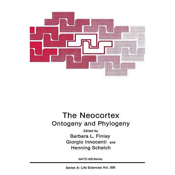 The Neocortex