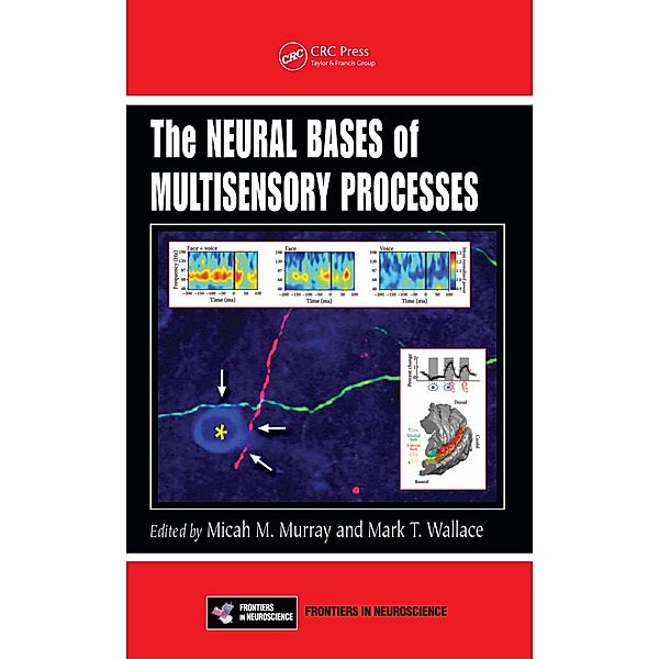 The Neural Bases of Multisensory Processes