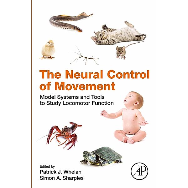 The Neural Control of Movement