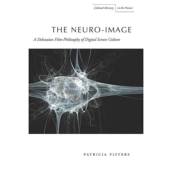 The Neuro-Image / Cultural Memory in the Present, Patricia Pisters